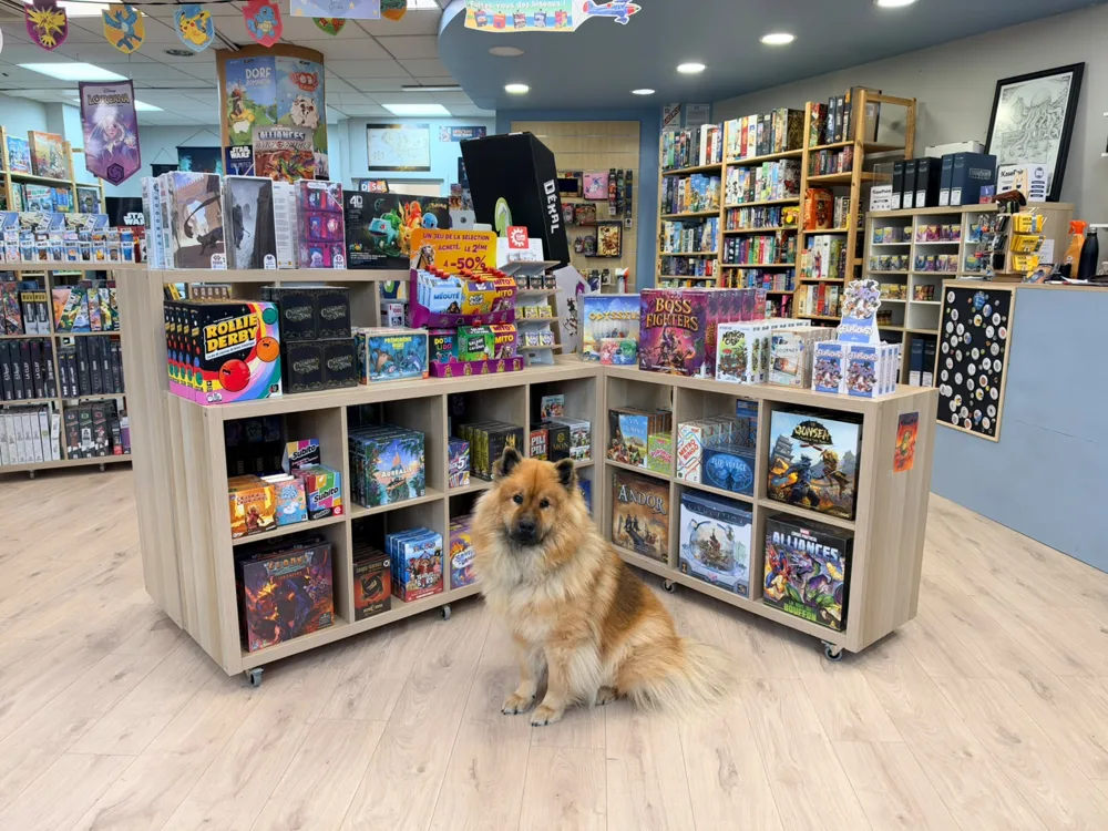 Arwen, la chienne de la boutique